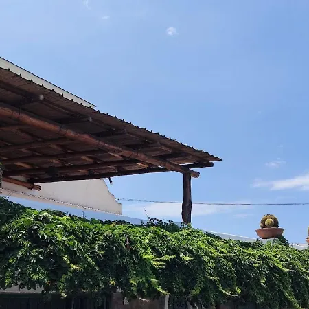 Sunny Terrace Retreat * Ischia