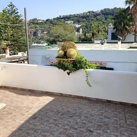 Sunny Terrace Retreat Casa de Férias Ísquia