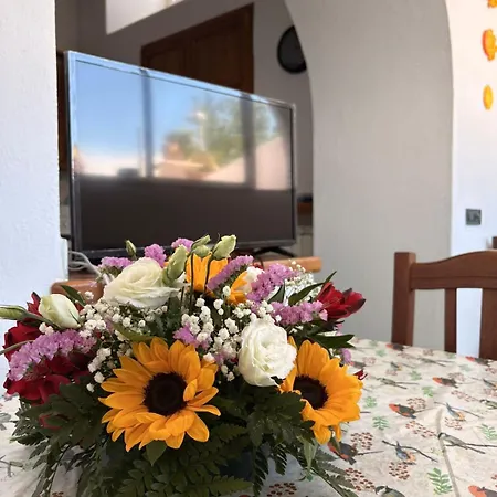 Holiday home Sunny Terrace Retreat Ischia